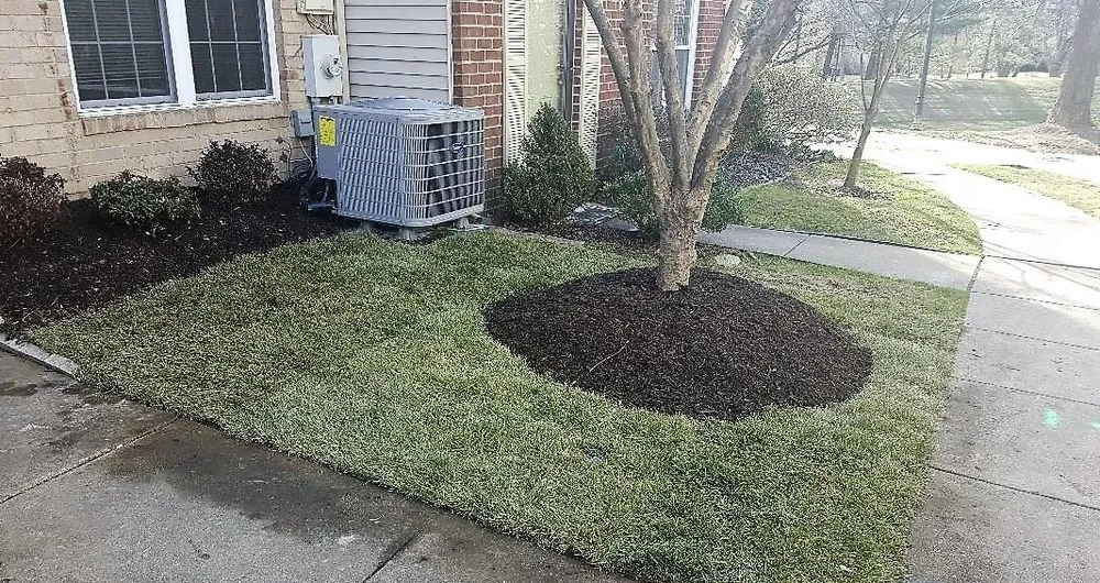 Local yard maintenance for beautiful yards across Odenton, MD - VLC Lawn Maintenance