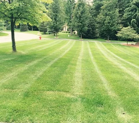 Trusted residential landscaping near you in Lansing, MI by VLC Vera Landscaping & Snow Removal