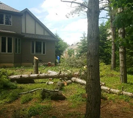 Professional residential landscaping in Lansing, MI by VLC Vera Landscaping & Snow Removal