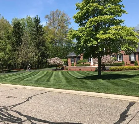 Expert landscape design in Lansing, MI - VLC Vera Landscaping & Snow Removal