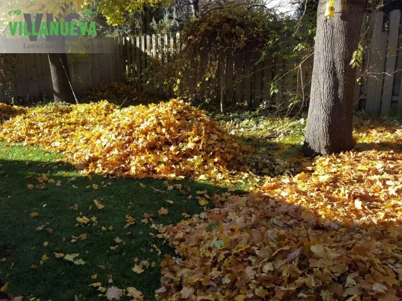 Reliable yard maintenance in Bend, OR by VLS Landscape Solutions