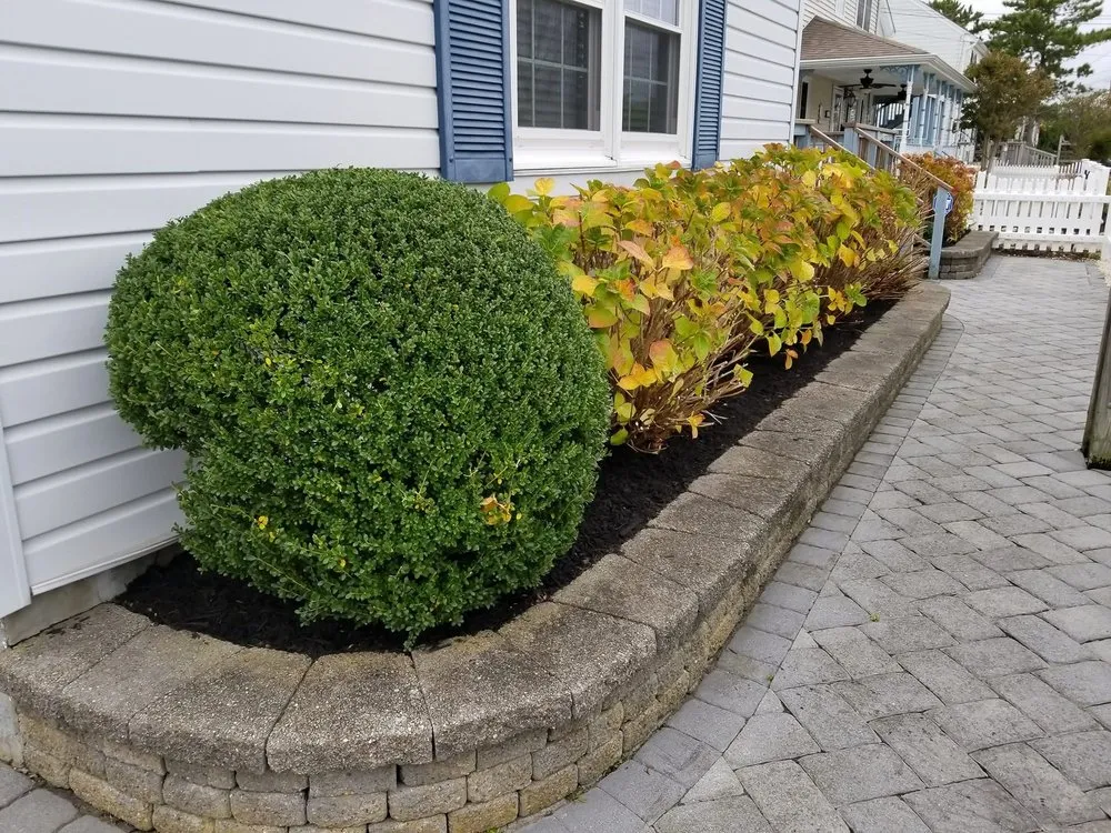 Affordable lawn care service for year-round maintenance across Manahawkin, NJ - VLW Landscaping