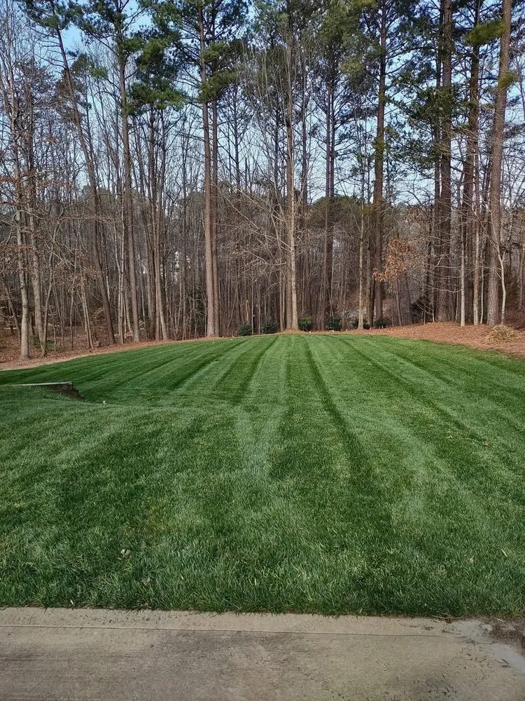 Affordable yard maintenance experts serving Manahawkin, NJ - VLW Landscaping