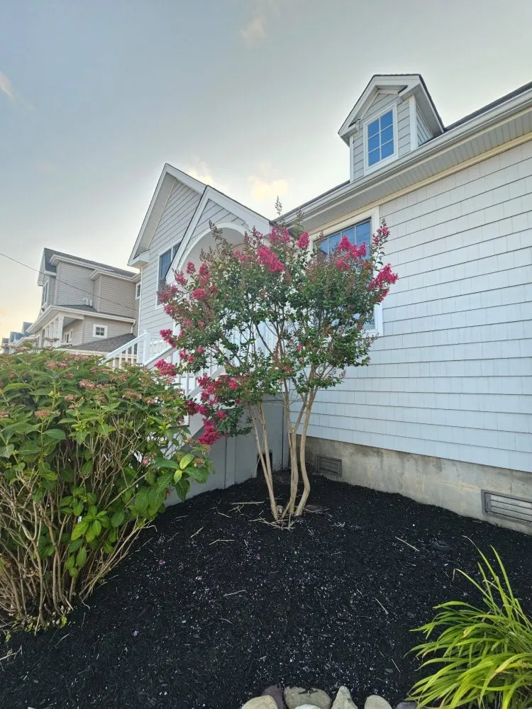 Trusted yard maintenance for beautiful yards across Manahawkin, NJ - VLW Landscaping