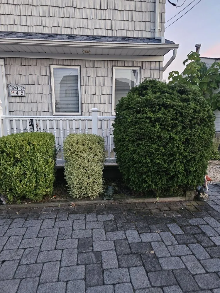 Reliable lawn care service in Manahawkin, NJ - VLW Landscaping