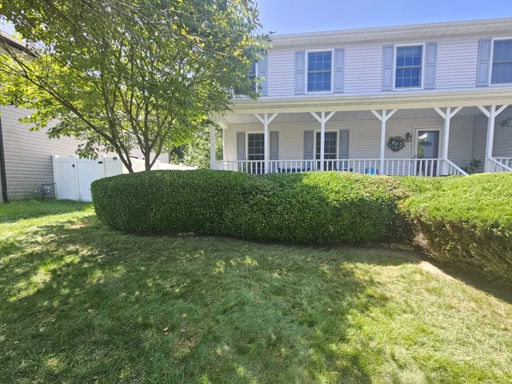 Professional yard maintenance in Manahawkin, NJ - VLW Landscaping