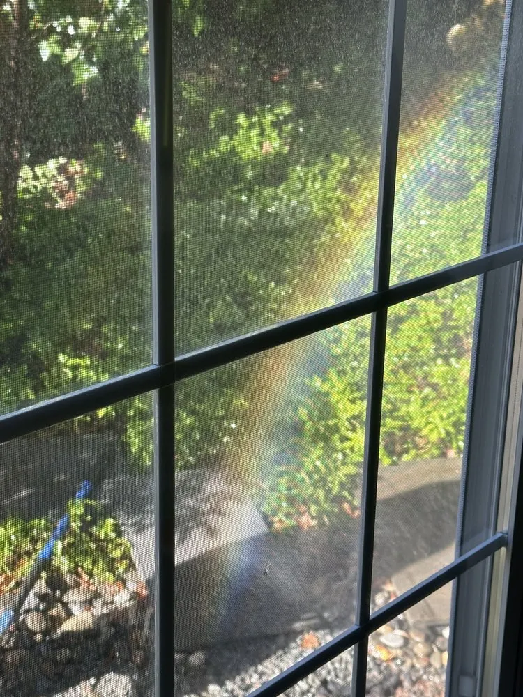 Professional outdoor landscaping for beautiful yards across Manassas, VA - VM Drainage & Erosion Solutions