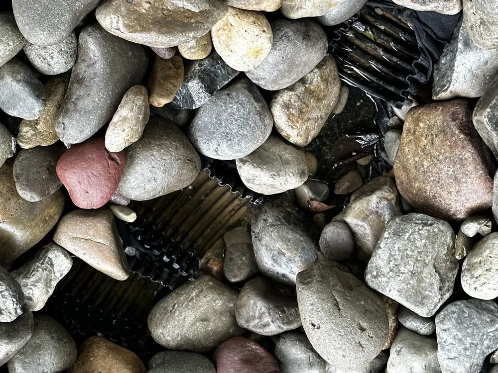 Local landscape design for year-round maintenance in Manassas, VA by VM Drainage & Erosion Solutions