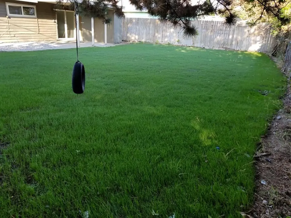 Professional lawn care service experts serving Kennewick, WA - VM General Landscaping and Lawn Care