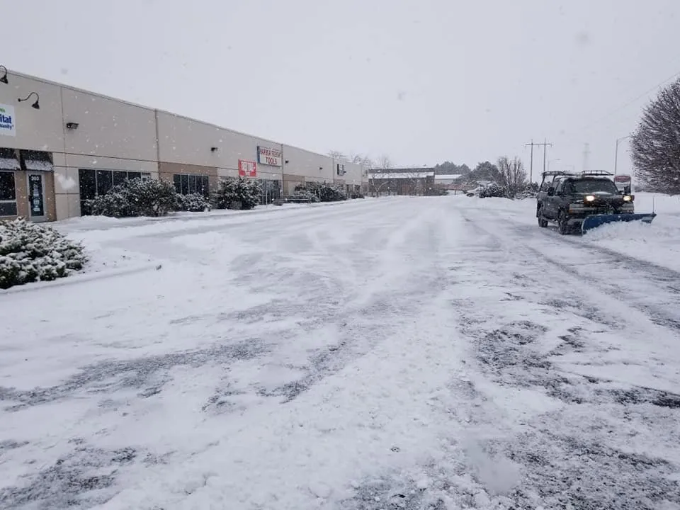 Affordable yard cleanup service for year-round maintenance in Kennewick, WA by VM General Landscaping and Lawn Care