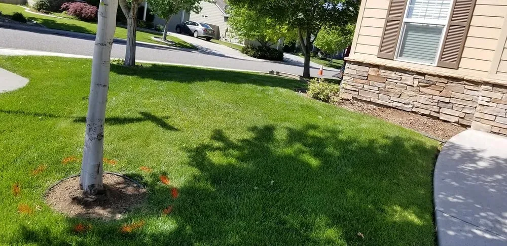 Local lawn care service in Kennewick, WA by VM General Landscaping and Lawn Care