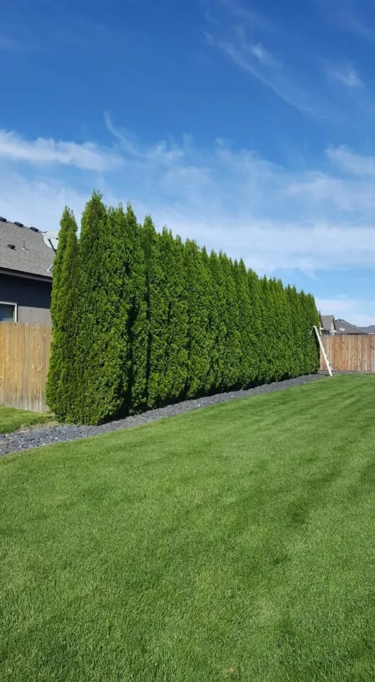 Local yard cleanup service near you in Kennewick, WA by VM General Landscaping and Lawn Care