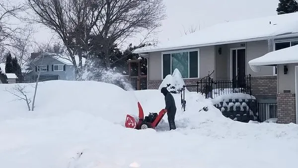 VM General Landscaping and Lawn Care Logo