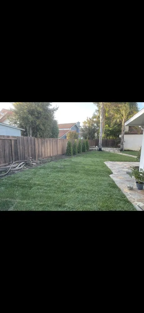 Expert lawn mowing service in Redwood City, CA by VM Landscape
