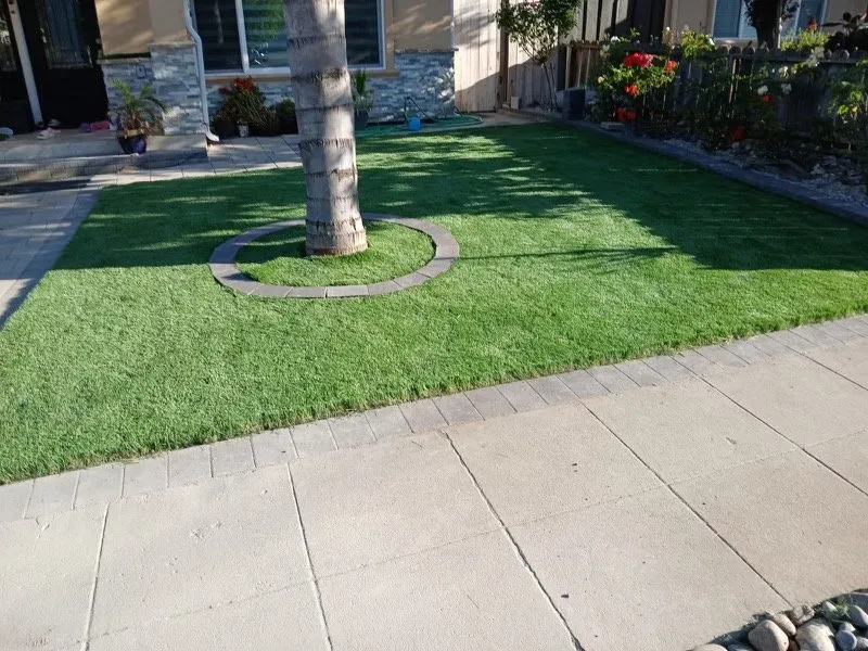 Professional yard cleanup service in Redwood City, CA - VM Landscape