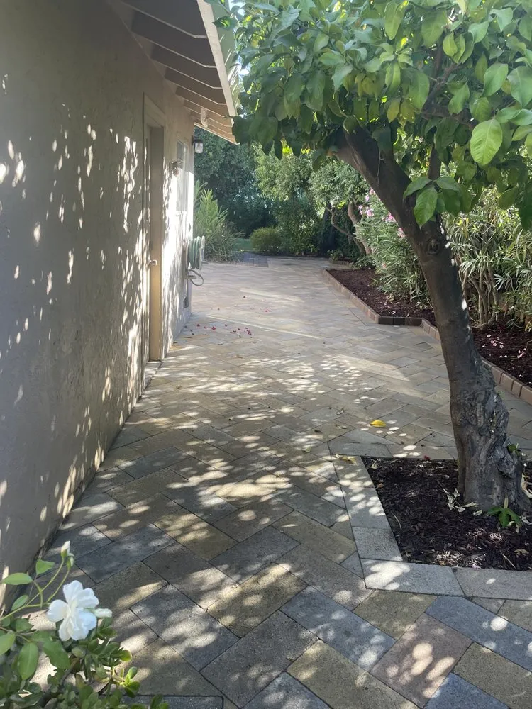 Custom yard cleanup service in Redwood City, CA - VM Landscape