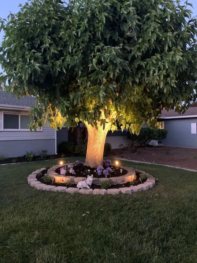 Custom landscaping services in Gilroy, CA - V&M Landscaping