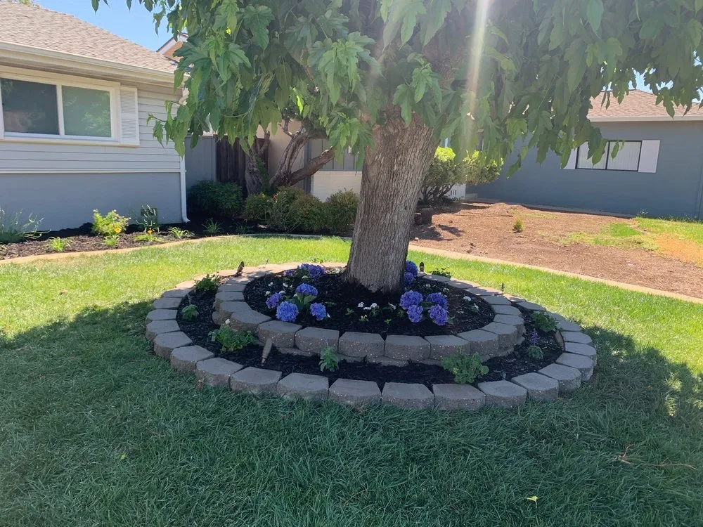 Professional lawn care service in Gilroy, CA by V&M Landscaping