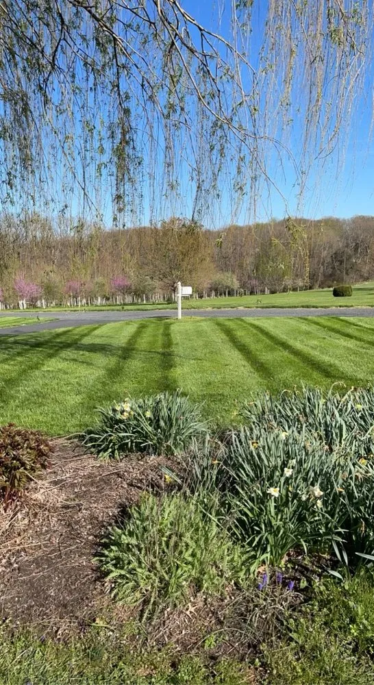 Local yard cleanup service in Perryville, MD - V&M Landscaping