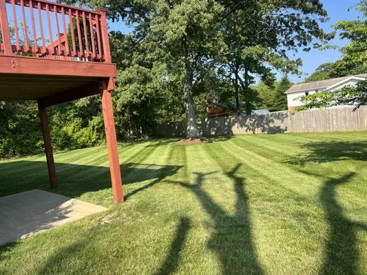 V&M Landscaping Logo