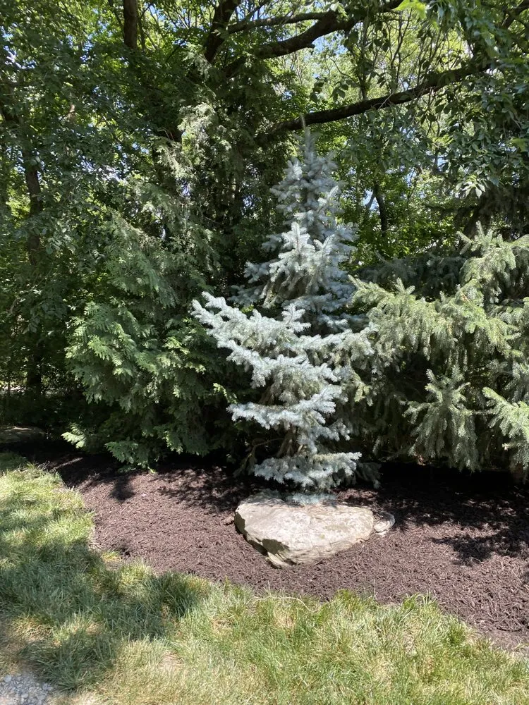 Affordable outdoor landscaping for residential properties across OLATHE, KS - VM Lawn & Landscape