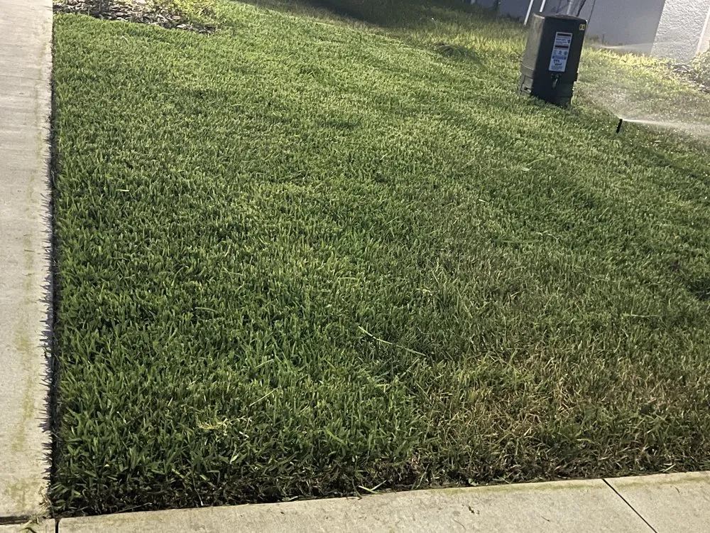 Affordable residential landscaping for year-round maintenance in Davenport, FL by V&M Lawn Care