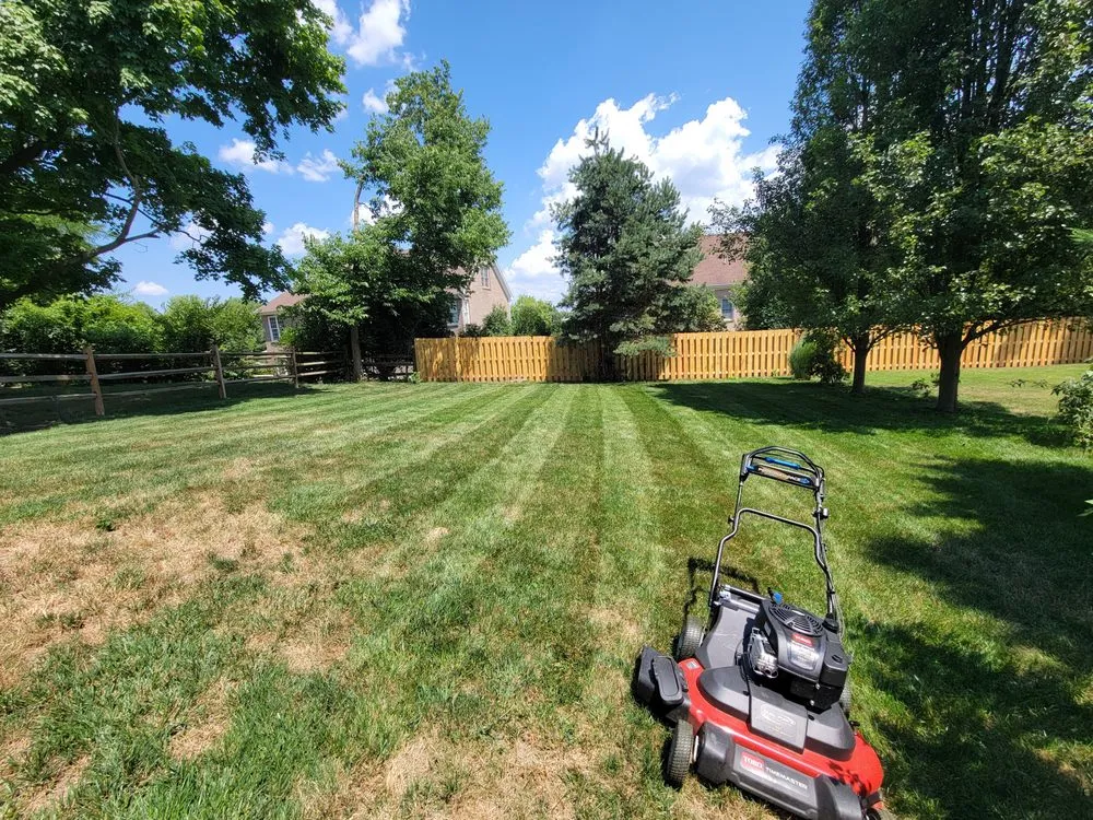 Custom yard cleanup service in Cincinnati, OH - VM Lawncare