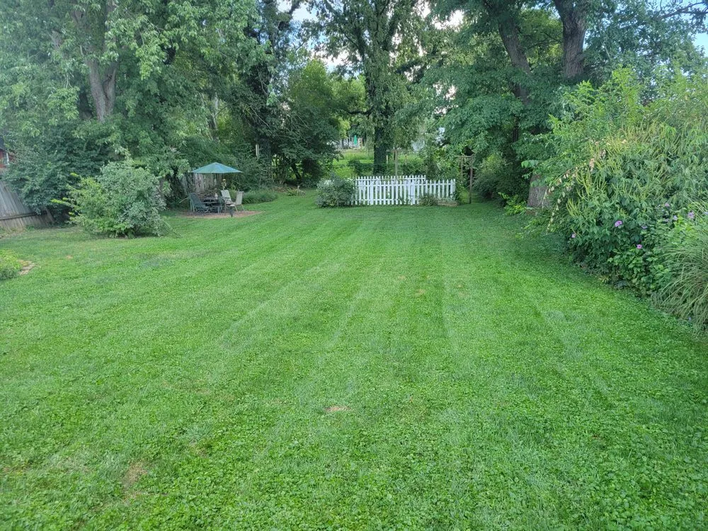 Expert lawn care service in Cincinnati, OH - VM Lawncare