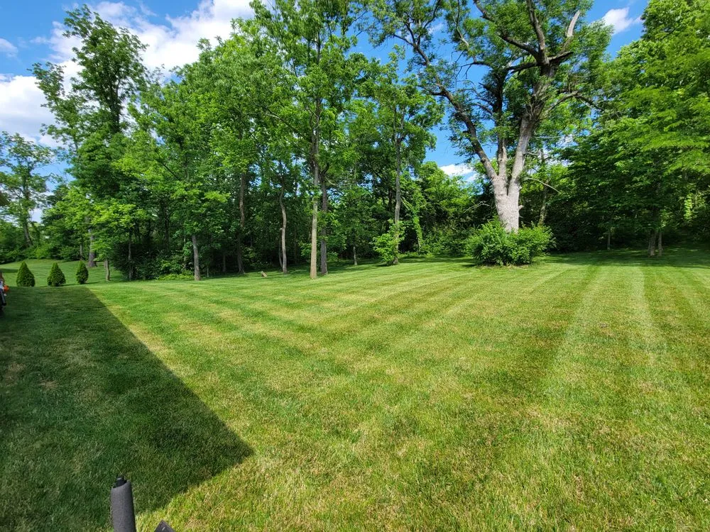 Expert lawn mowing service in Cincinnati, OH - VM Lawncare