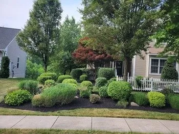Trusted yard maintenance in Morgantown, PA - V&M Property Services