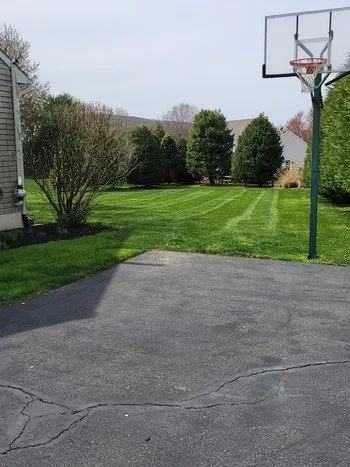 Expert lawn care service experts serving Morgantown, PA - V&M Property Services