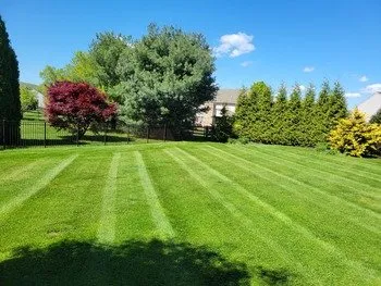 Affordable yard cleanup service in Morgantown, PA by V&M Property Services