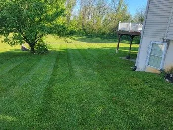 Reliable yard maintenance near you in Morgantown, PA by V&M Property Services