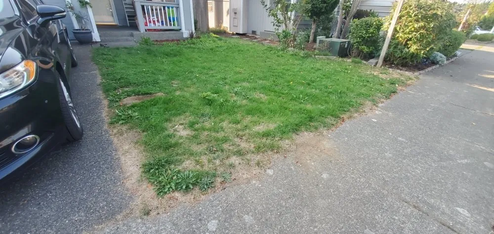 Local lawn care service for year-round maintenance in Arlington, WA by VM Snoco Landscaping