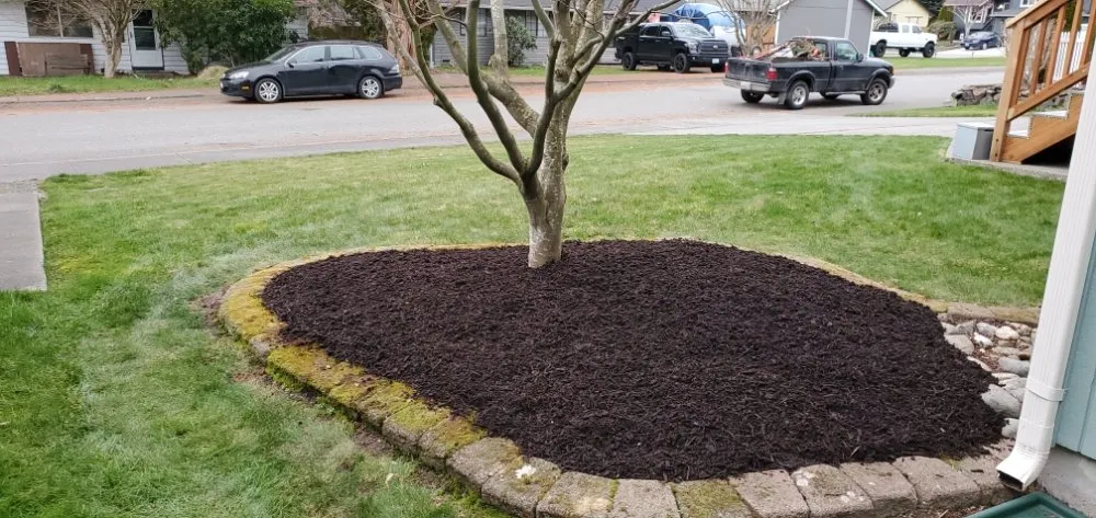 Top-rated residential landscaping for beautiful yards across Arlington, WA - VM Snoco Landscaping
