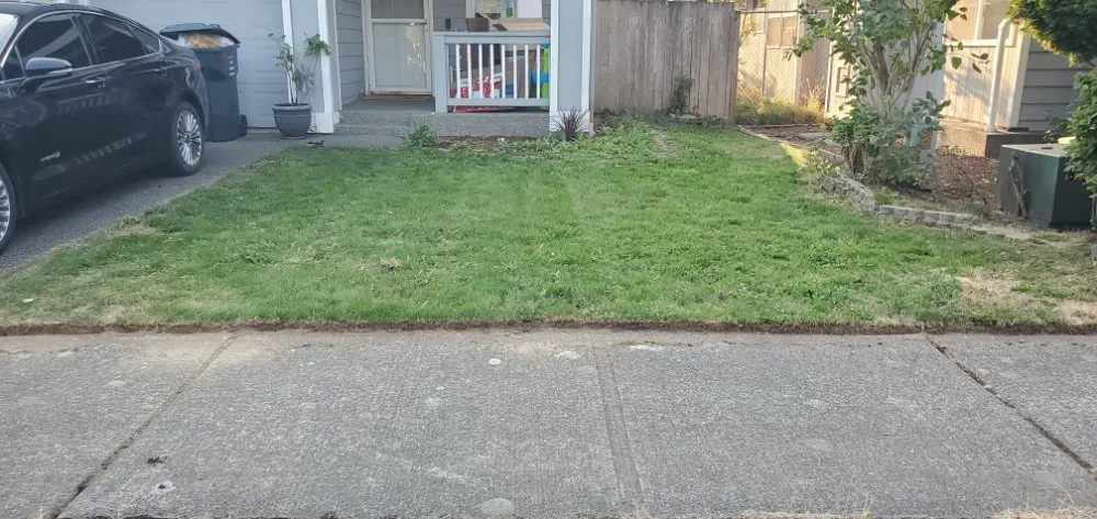 Local landscape installation in Arlington, WA - VM Snoco Landscaping