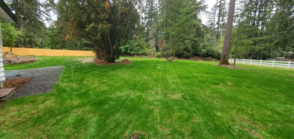 Reliable yard cleanup service in Arlington, WA - VM Snoco Landscaping