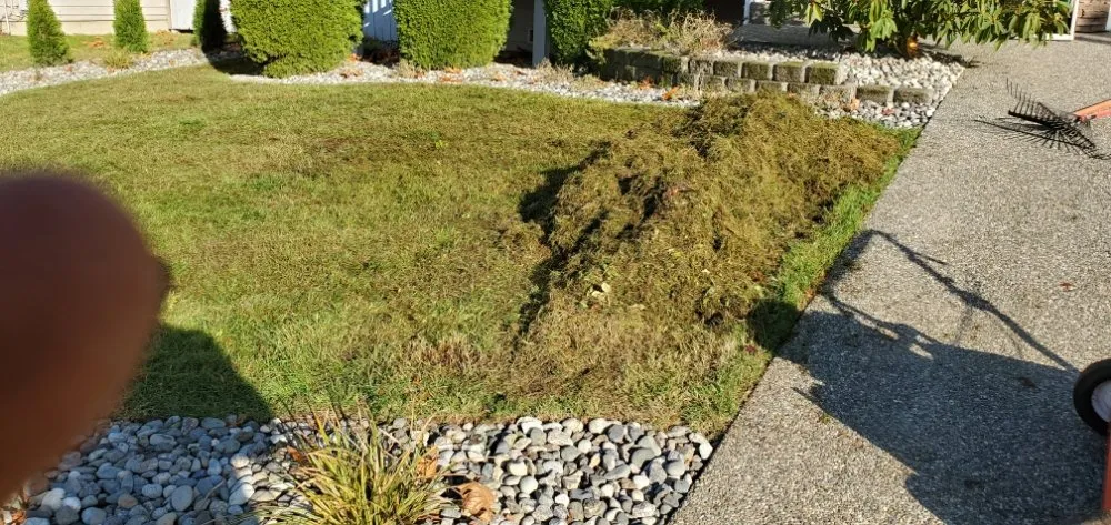Expert yard maintenance with custom design in Arlington, WA by VM Snoco Landscaping