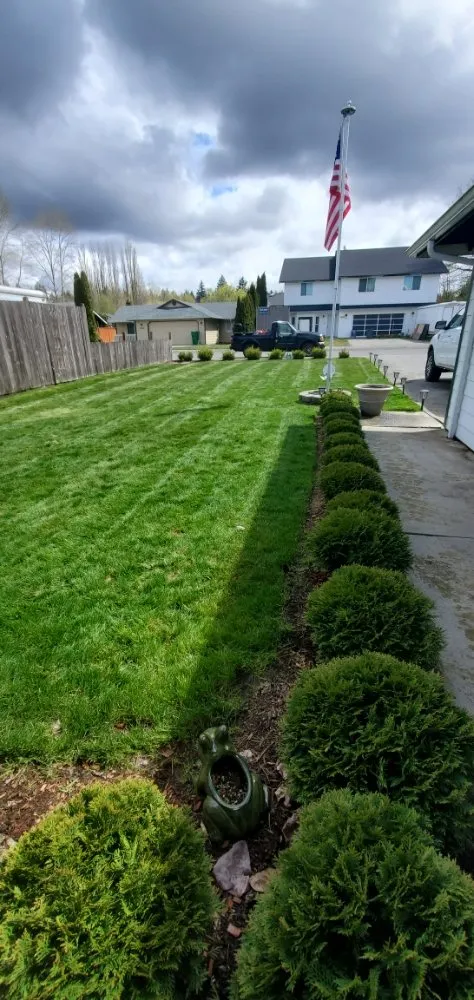 Top-rated landscape installation experts serving Arlington, WA - VM Snoco Landscaping