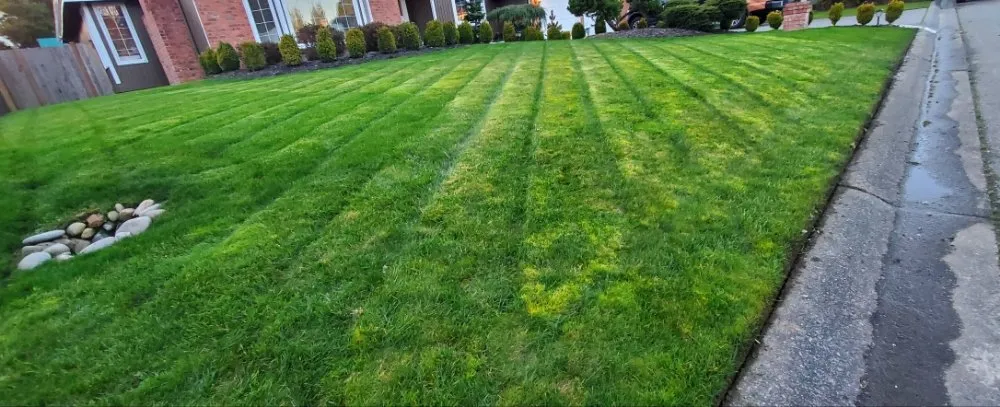 Local garden landscaping in Arlington, WA by VM Snoco Landscaping