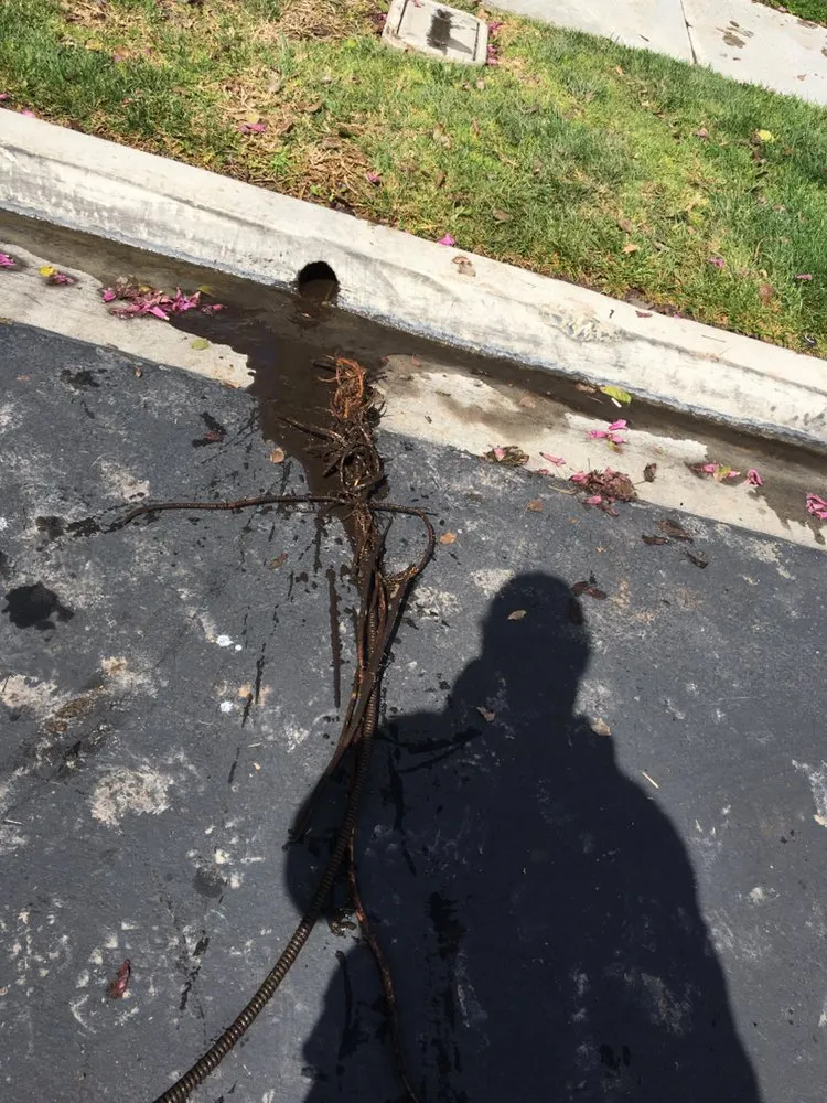 Top-rated garden landscaping in Spring Valley, CA by VMD Landscape Service