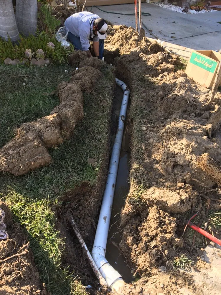 Top-rated landscape installation near you in Spring Valley, CA by VMD Landscape Service