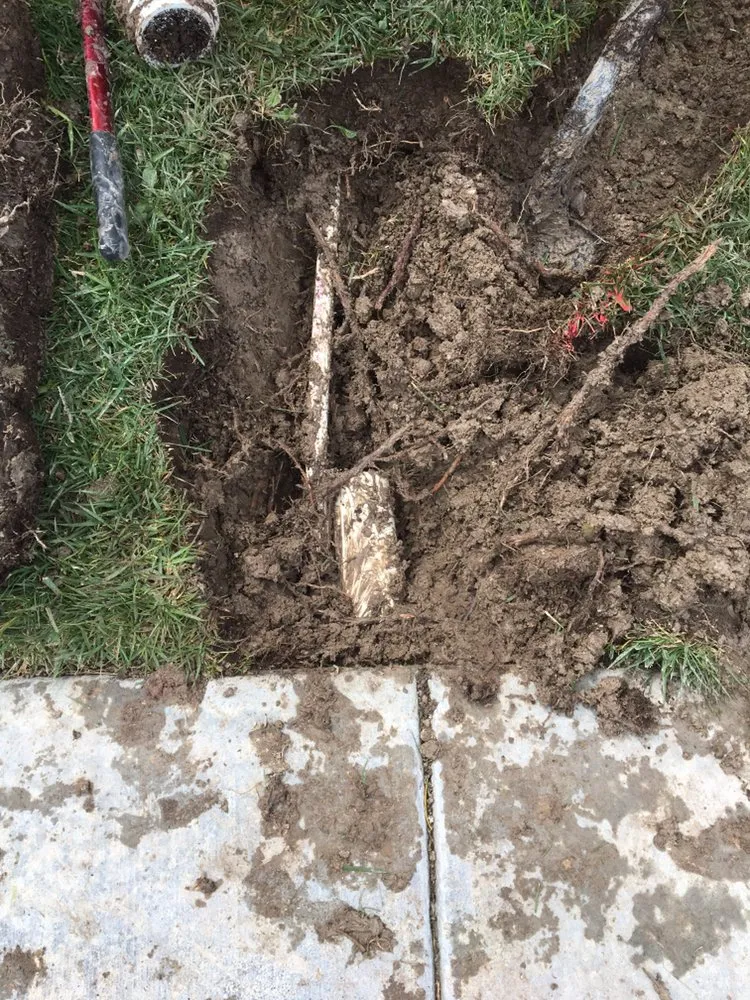 Local lawn care service experts serving Spring Valley, CA - VMD Landscape Service