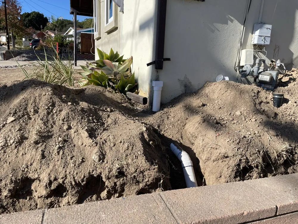 Local outdoor landscaping for year-round maintenance across Spring Valley, CA - VMD Landscape Service