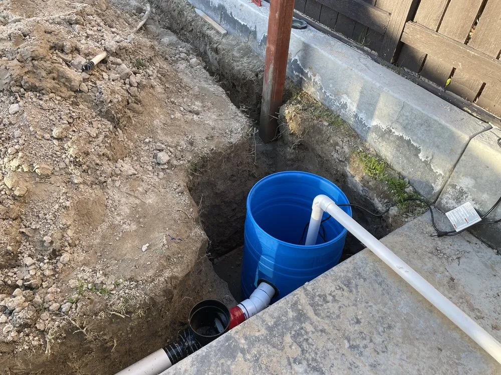 Professional yard maintenance for homes in Spring Valley, CA by VMD Landscape Service