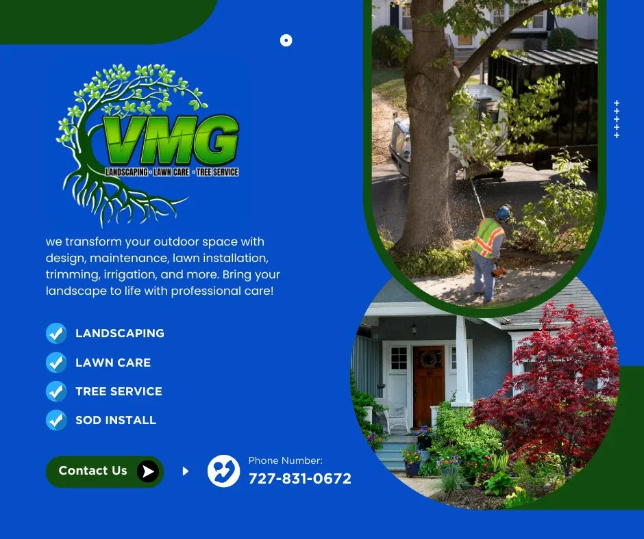 Top-rated landscape installation for beautiful yards across Clearwater, FL - VMG Landscaping