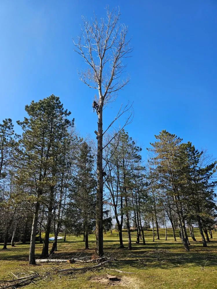 Trusted lawn mowing service with custom design across Elgin, IL - VMN Lawn Service & Snow Removal