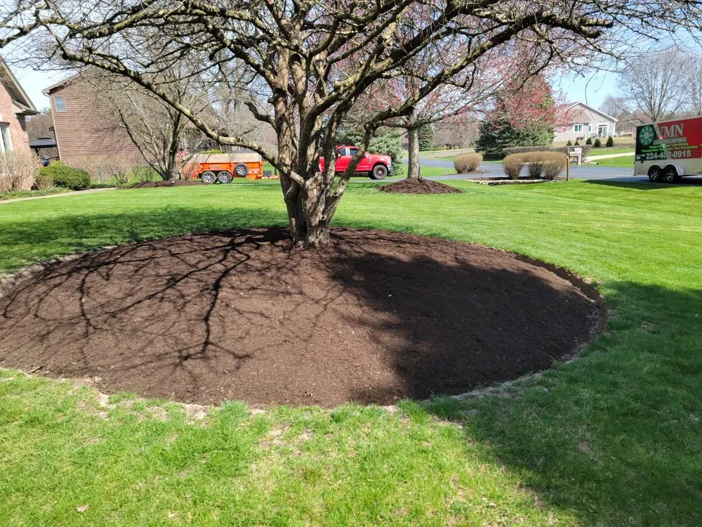 Local landscaping services for residential properties in Elgin, IL by VMN Lawn Service & Snow Removal