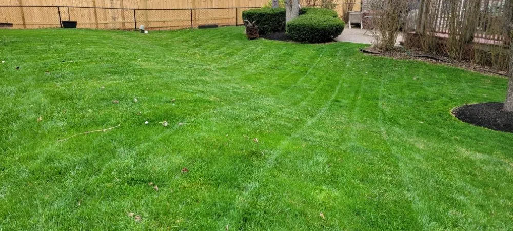 Custom landscaping services for residential properties in Indianapolis, IN by VMP Landscaping