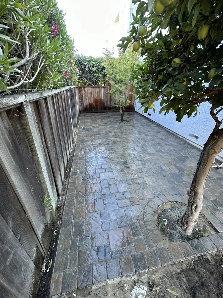 Trusted landscape design experts serving Redwood City, CA - VMS Landscape Design